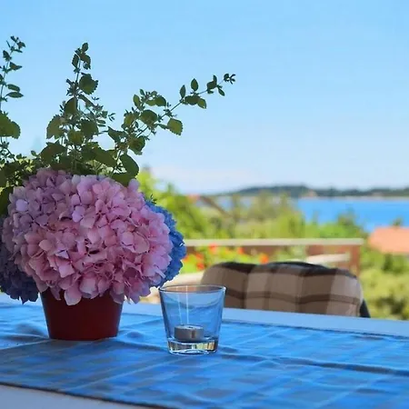 Apartment Milina - Two Bedroom With Terrace And Sea View *